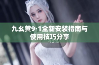 九幺黄9·1全新安装指南与使用技巧分享