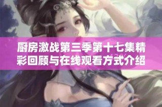厨房激战第三季第十七集精彩回顾与在线观看方式介绍