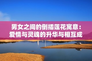 男女之间的倒插莲花寓意：爱情与灵魂的升华与相互成就之美