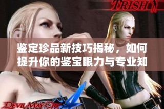 鉴定珍品新技巧揭秘，如何提升你的鉴宝眼力与专业知识