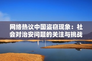 网络热议中国盗窃现象：社会对治安问题的关注与挑战