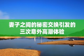 妻子之间的秘密交换引发的三次意外高潮体验