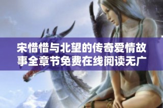 宋惜惜与北望的传奇爱情故事全章节免费在线阅读无广告