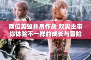 两位英雄并肩作战 双男主带你体验不一样的成长与冒险故事