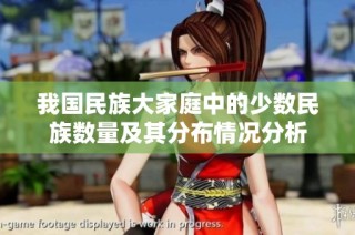 我国民族大家庭中的少数民族数量及其分布情况分析