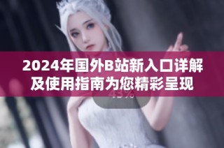 2024年国外B站新入口详解及使用指南为您精彩呈现