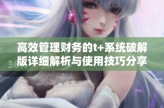 高效管理财务的t+系统破解版详细解析与使用技巧分享
