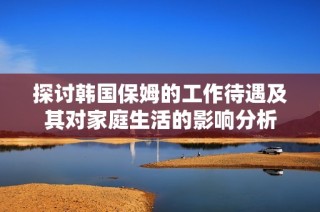 探讨韩国保姆的工作待遇及其对家庭生活的影响分析