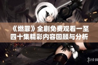 《燃罪》全剧免费观看一至四十集精彩内容回顾与分析