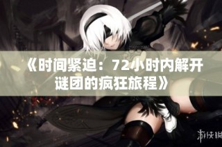 《时间紧迫：72小时内解开谜团的疯狂旅程》