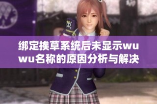 绑定挨草系统后未显示wuwu名称的原因分析与解决方案探讨