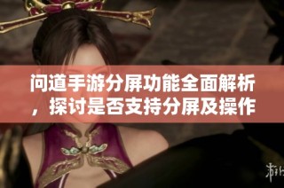 问道手游分屏功能全面解析，探讨是否支持分屏及操作步骤详解