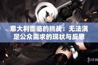 意大利面临的挑战：无法满足公众需求的现状与反思