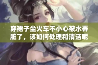 穿裙子坐火车不小心被水弄脏了，该如何处理和清洁呢
