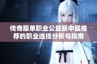 传奇服单职业公益服中最推荐的职业选择分析与指南