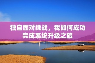 独自面对挑战，我如何成功完成系统升级之旅