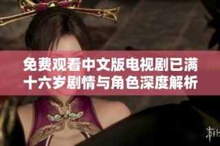 免费观看中文版电视剧已满十六岁剧情与角色深度解析