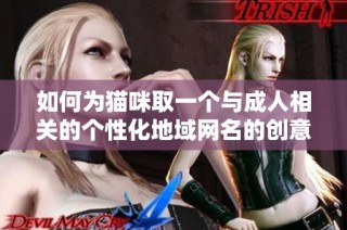 如何为猫咪取一个与成人相关的个性化地域网名的创意方法与灵感