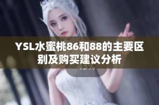 YSL水蜜桃86和88的主要区别及购买建议分析