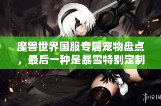 魔兽世界国服专属宠物盘点，最后一种是暴雪特别定制版