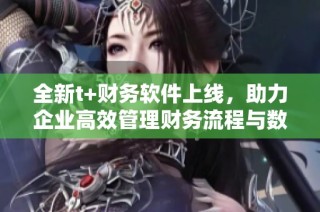全新t+财务软件上线，助力企业高效管理财务流程与数据分析