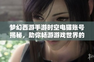 梦幻西游手游时空电猫账号揭秘，助你畅游游戏世界的核心钥匙