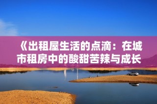 《出租屋生活的点滴：在城市租房中的酸甜苦辣与成长历程》