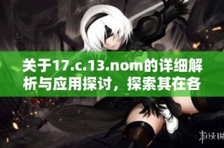 关于17.c.13.nom的详细解析与应用探讨，探索其在各领域的影响及发展潜力