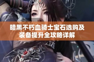 暗黑不朽血骑士宝石选购及装备提升全攻略详解