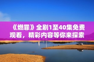 《燃罪》全剧1至40集免费观看，精彩内容等你来探索！