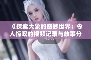 《探索大象的奇妙世界：令人惊叹的视频记录与故事分享》