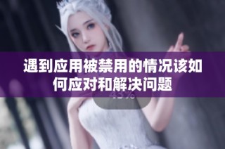 遇到应用被禁用的情况该如何应对和解决问题
