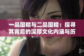 一品国精与二品国精：探寻其背后的深厚文化内涵与历史价值