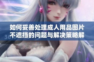 如何妥善处理成人用品图片不遮挡的问题与解决策略解析