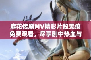 麻花传剧MV精彩片段无痕免费观看，尽享剧中热血与感动的时刻