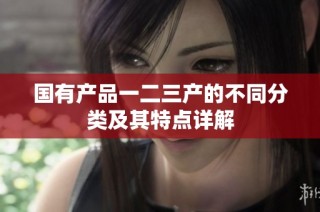 国有产品一二三产的不同分类及其特点详解