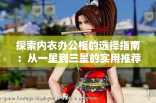 探索内衣办公柜的选择指南：从一星到三星的实用推荐与评测