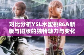 对比分析YSL水蜜桃86A新版与旧版的独特魅力与变化之处