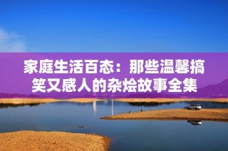 家庭生活百态：那些温馨搞笑又感人的杂烩故事全集