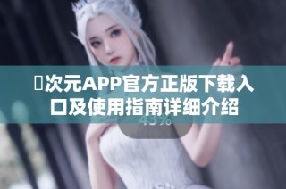 囧次元APP官方正版下载入口及使用指南详细介绍
