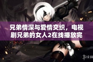 兄弟情深与爱情交织，电视剧兄弟的女人2在线播放完整版本解析
