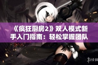 《疯狂厨房2》双人模式新手入门指南：轻松掌握团队合作技巧与游戏策略