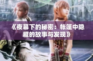 《夜幕下的秘密：帐篷中隐藏的故事与发现》