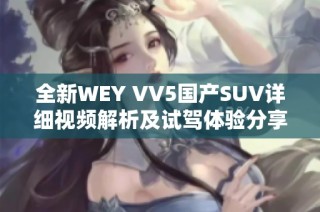 全新WEY VV5国产SUV详细视频解析及试驾体验分享