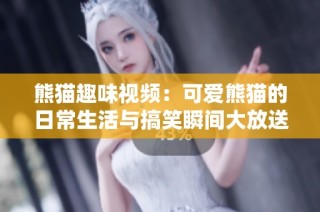 熊猫趣味视频：可爱熊猫的日常生活与搞笑瞬间大放送