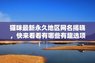 猫咪最新永久地区网名揭晓，快来看看有哪些有趣选项