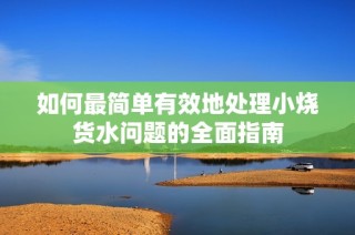 如何最简单有效地处理小烧货水问题的全面指南