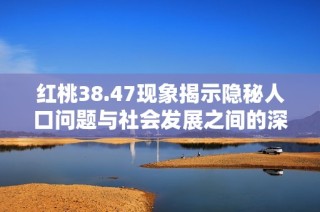 红桃38.47现象揭示隐秘人口问题与社会发展之间的深厚联系