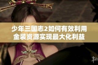 少年三国志2如何有效利用金装资源实现最大化利益