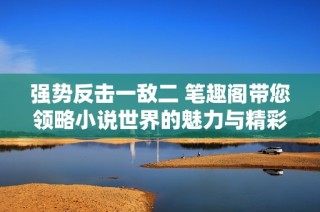 强势反击一敌二 笔趣阁带您领略小说世界的魅力与精彩